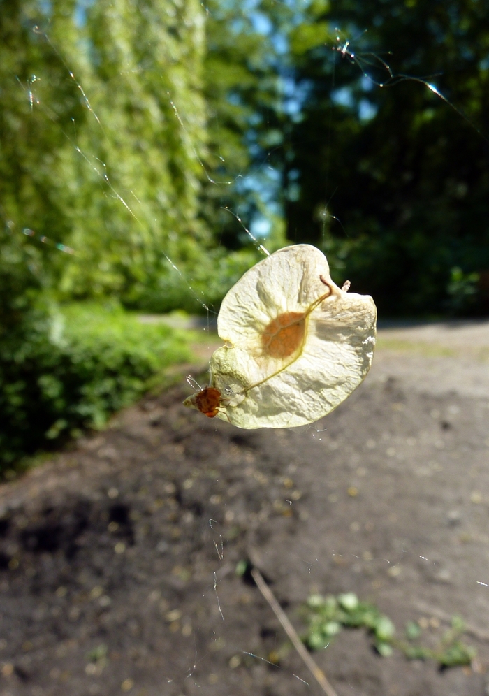 Bildbeschreibung hier eingeben